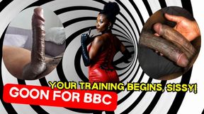 The Ultimate Sissy Training Course – Part 1: Cock is everything