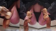 Totally Nuts with the Nuts Hyper Speed Nuts Ball Busting Nuts Nutty Bouncing Ball Crushing Plush Toy Futanari Plush Ballbusting CBT Ballcrushing