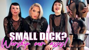 Small dick? Worship our asses!