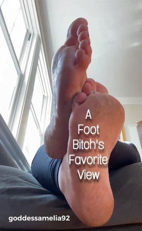 A Foot Bitch's Favorite View