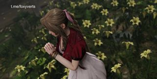 Aerith Gainsboroug Compilation