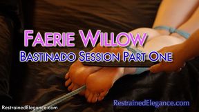 Faerie Willow's Bastinado Session: Part One (VID0813A, 4K MP4)