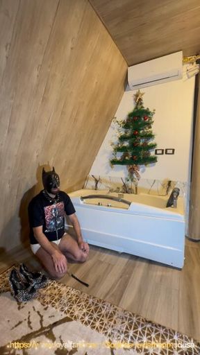 My long term loyal pet who will always die to serve his one & only Lordessa 👠🪄