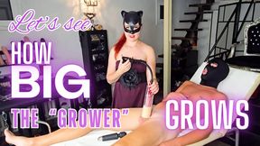 MCD - LET'S SEE HOW BIG THE 'GROWER' GROWS - Mobile version