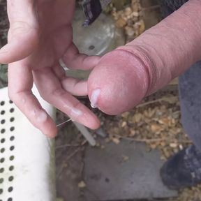 Lunchtime Outdoor Hard Cock Wanking and Cumming - Rockard Daddy