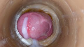 Huge ejaculatory dose of sperm in pussy ASMR