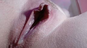 Oviposition Fantasy – Egg Laying & Squirting Release (4K Close-Up)