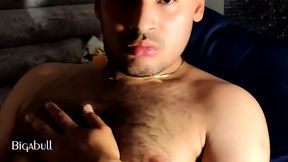 Verga de oso venezolano