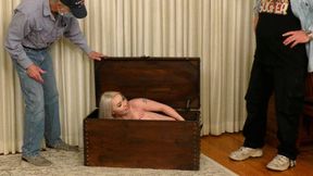 Naked in a Box! What if They See Her! Haley Spades is Nude and Hiding - 4K WMV