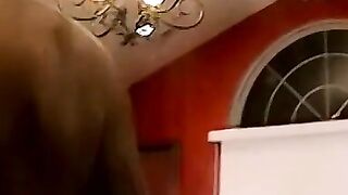 Chubby Cutie's Big Booty Rides A Huge Dick - PornPros