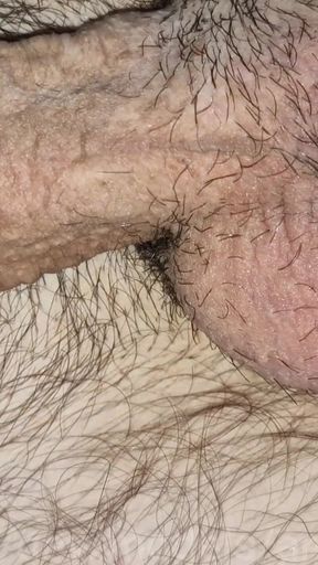 Hard Sperm Volleys of Hairy Men From a Hot Fuck by a Rider with Precum and Powerful Thick Sperm!