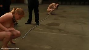 Slave 1 And 54 - Training