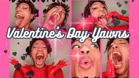 Hildy's Huge Valentine's Day Yawns!