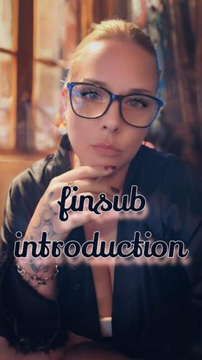 Finsub Introduction