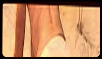 Hot Mature BBW GILF Dani D in HD Scene Streaming now