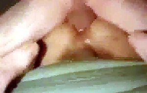 Pov anal