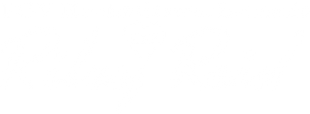 POV wedding weekend with Riley Reid