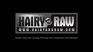 HAIRYANDRAW Ray Dalton And Slutty Stud Fuck In The Dungeon