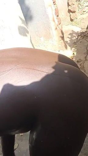 Sneaked; to Shower in My Neighbor's Outdoor Bathroom While I Become Horny