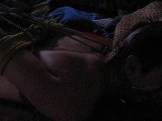 hogtied