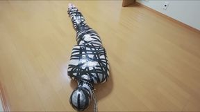 Completely wrapped in tape and plastic wrap