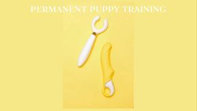 INSTANT PERMANENT PUPPY TRAINING - PET PLAY II [Puppy] [Pup Play] [Human Pup Fantasy] [Pet Play] [Pet Transformation] [Puppy Play] [Pet Puppy Fantasy]