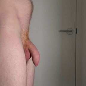 Bouncing Uncut Cock Soft to Hard