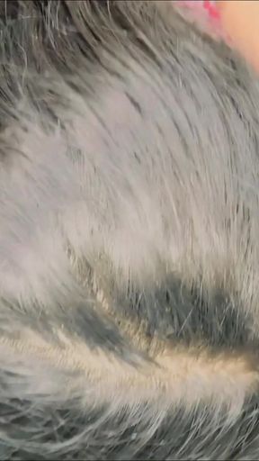 Desi Village Parents Teacher meeting Sex, Hot indian beautiful aunty take sir BBC inside her tight pussy hindi sex Mms   Clip 1