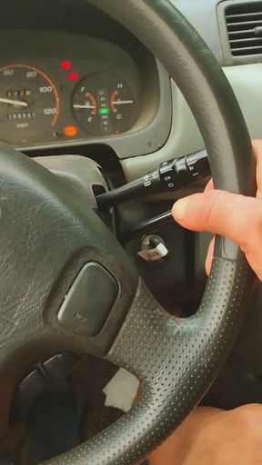Nude Driving to Work