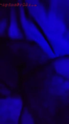 Slut Step daughter SpinderBella sucks daddys cock but wakes up only to blow cloud