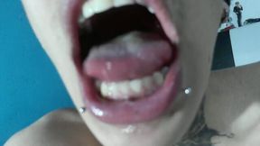 Jeff Konns Private Show