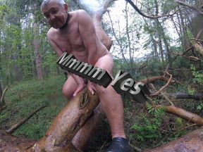 Things You Find in The Woods