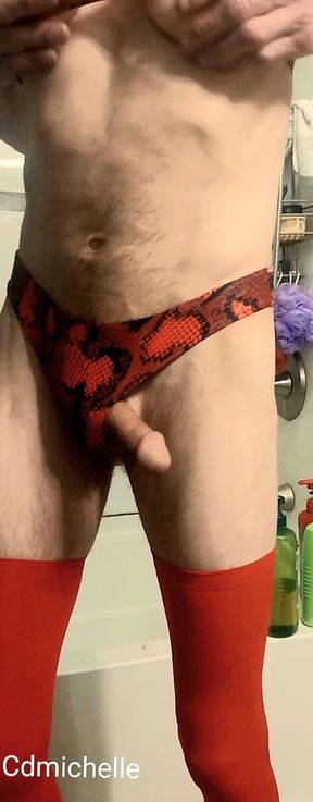 Crossdressers  Michelle wearing sexy lingerie under Dress you can see