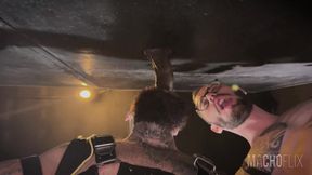 Big Dicks on the Wall - a Gloryhole Experience