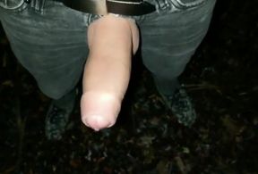 Thick Pulsating Cock Cumming 2 Times in One Evening Outdoor