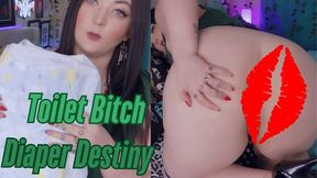 Toilet Bitch Diaper Destiny - WMV