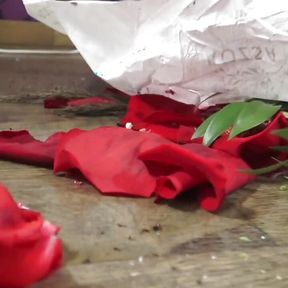 The Spoiled Princess Crushes the Roses and Chocolates of Her Slave Admirer!