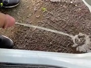 Pee Desperation auf dem Parkplatz