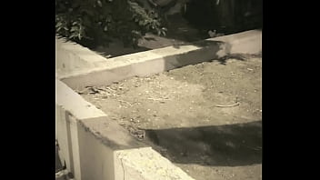 boy sucks a guy he found jerking-off in the street