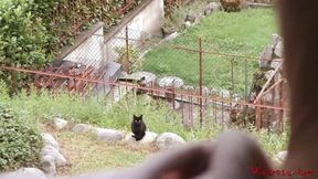 ”Mistress foot worship in the bedroom”