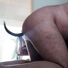 Chastity Bear plays with puppy tail butt plug