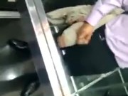 Elevador exihionismo.