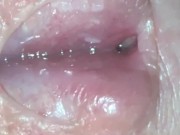 Fuck my Hole! 2019