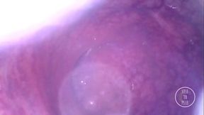 Travel inside my huge Ass Cave