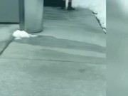 Guy at pool went in bathroom showed his dick