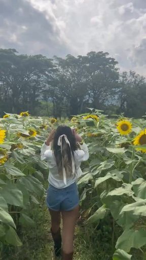 Some Flowers All Together