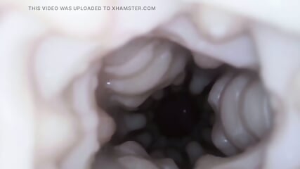 Cumming insight Fleshlight Compilation xhEXDDx