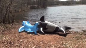 Galas Looner Whale & Shark Pop at the Lake - m4v