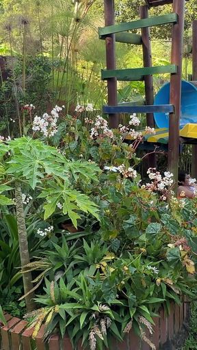 El Jardinero De Mi Casa Me Ve Masturbandome Y Se Pone Cachondo, Asi Que Decido Complacerlo Dejandome Meter Su Enorme Polla.