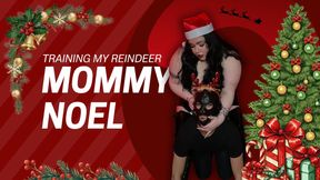 Mommy Noel training and punishing a very naughty reindeer!
This has been on of My longest fantasies...